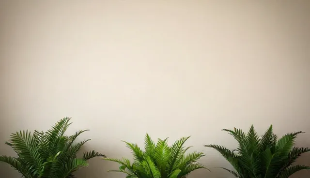 选型业务问题适用情况与限制分析