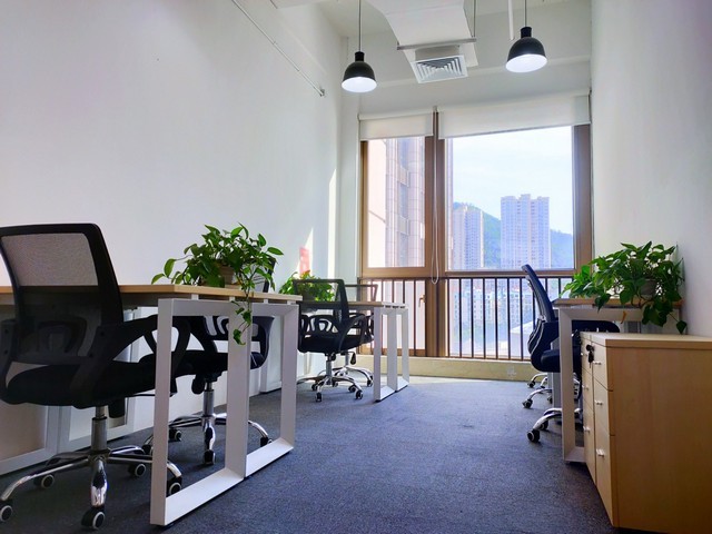 广州工业视频显微镜厂家报价